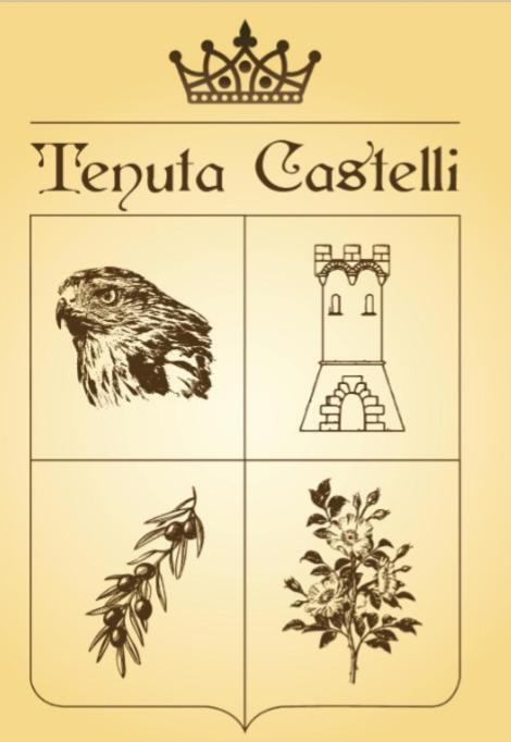 Tenuta Castelli Villa San Donato Val di Comino Bagian luar foto